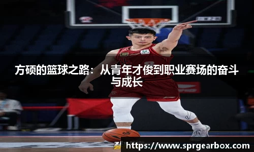 BB贝博登录入口