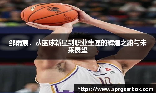 BB贝博登录入口